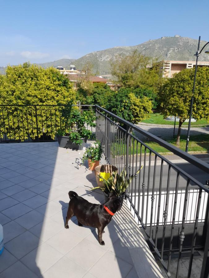 A Casa Di Falco Mondragone Dış mekan fotoğraf