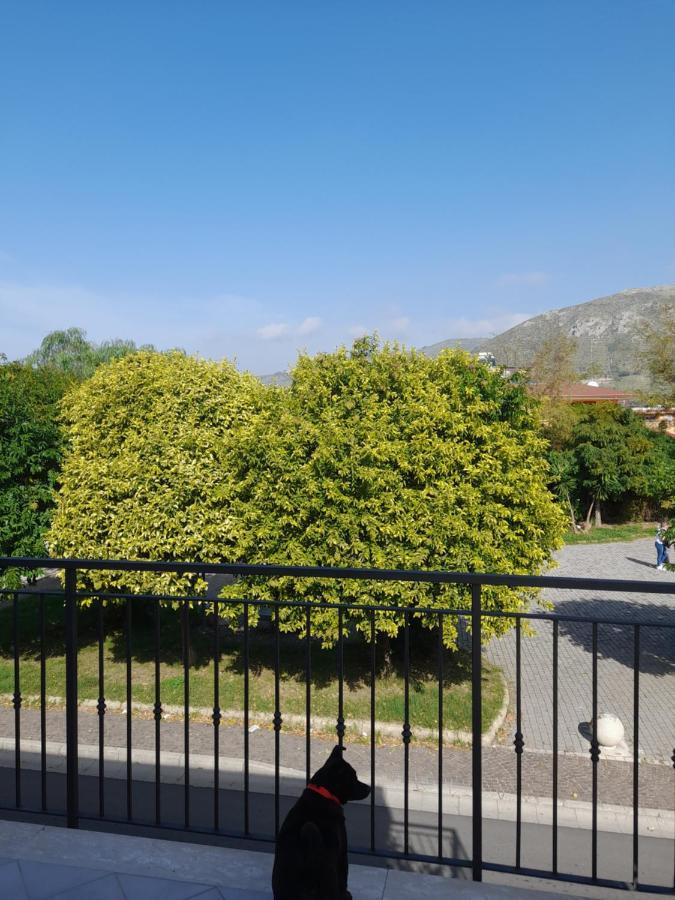 A Casa Di Falco Mondragone Dış mekan fotoğraf